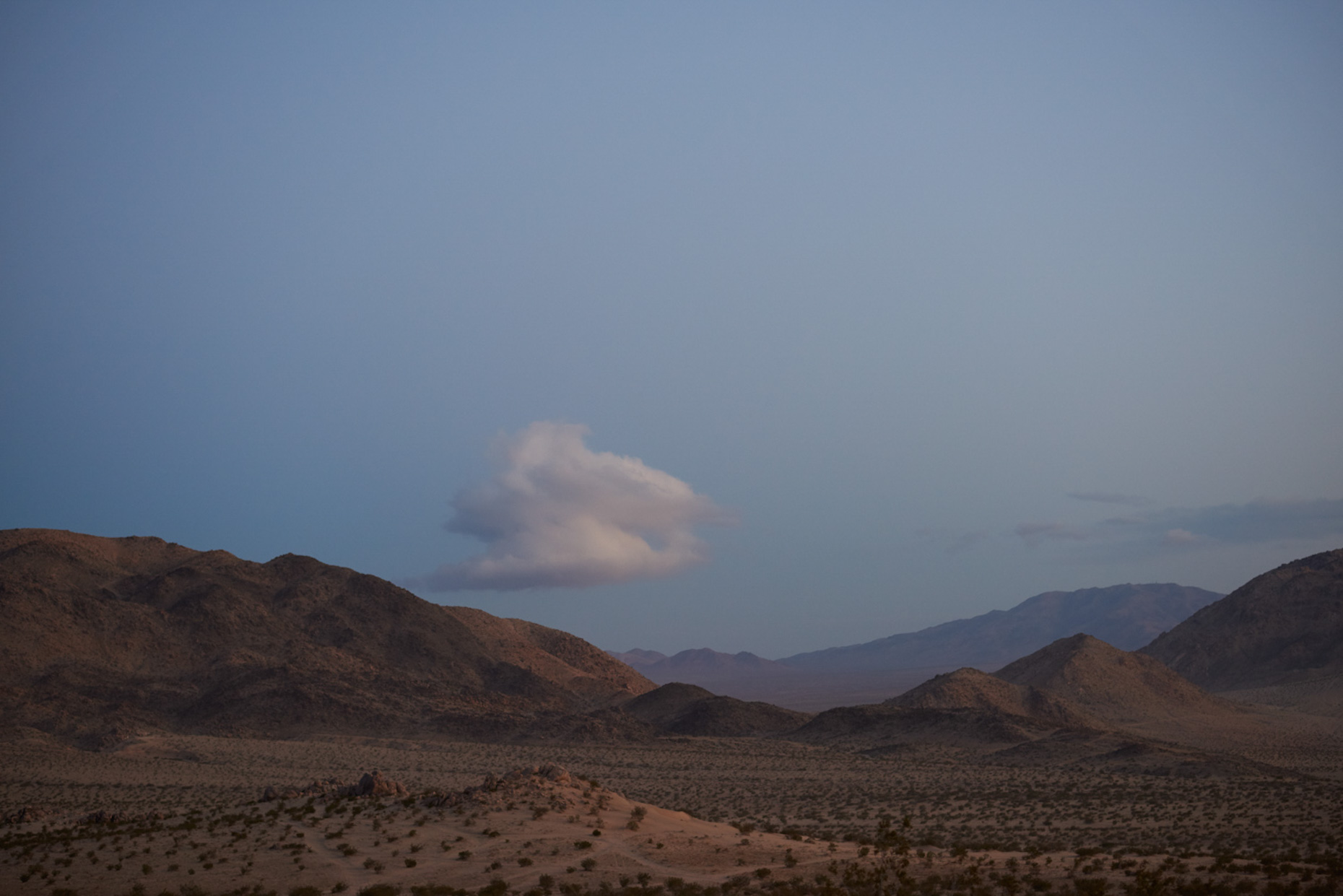 Palm desert at dusk. Digital. 2018.